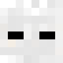 Image for ImIllegallyBlind Minecraft Player