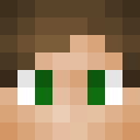 Image for ImTom_ Minecraft Player