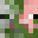 Image for Imsohappy_ Minecraft Player