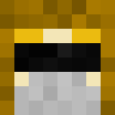 Image for Inquary Minecraft Player