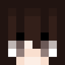 Image for InsanityPops Minecraft Player