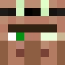 Image for Insecta Minecraft Player