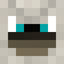 Image for Insulter Minecraft Player