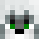 Image for Irokuro Minecraft Player