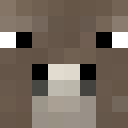 Image for ItsLaimon Minecraft Player