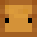 Image for ItsMeToast Minecraft Player