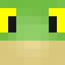 Image for Its_Crux Minecraft Player