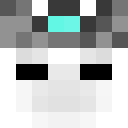 Image for Jaident Minecraft Player