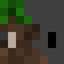 Image for Jang_u Minecraft Player