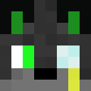 Image for Janmoin Minecraft Player