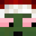 Image for Jayri Minecraft Player