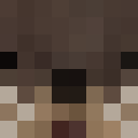 Image for JdO Minecraft Player