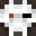 Image for Jhindiana Minecraft Player