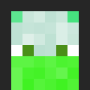 Image for Jorttle Minecraft Player