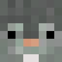 Image for KRuFa Minecraft Player