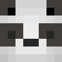 Image for Kaaricarjavi Minecraft Player