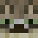 Image for KapeRRRR Minecraft Player