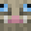 Image for KippyDip Minecraft Player