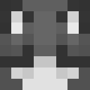 Image for Klaroo Minecraft Player