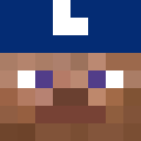 Image for LandingTCAS Minecraft Player