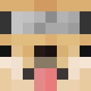 Image for LapDog Minecraft Player