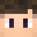 Image for Lars295 Minecraft Player