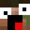 Image for Lauuti Minecraft Player