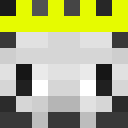 Image for LavaCod Minecraft Player