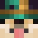 Image for Laycon Minecraft Player