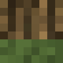 Image for LeafyKiwi Minecraft Player