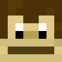 Image for Leapz Minecraft Player