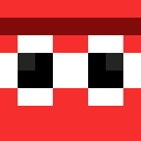 Image for Lenix Minecraft Player