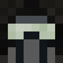 Image for Liam701 Minecraft Player