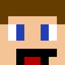 Image for Lidx Minecraft Player