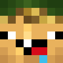 Image for Liebhaberin Minecraft Player