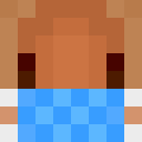 Image for LilBerko Minecraft Player