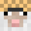 Image for LilSheeps Minecraft Player