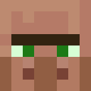 Image for LilTigre Minecraft Player