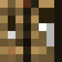 Image for Lil_Goose Minecraft Player