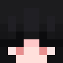 Image for LilliBugg Minecraft Player