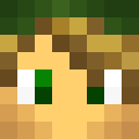 Image for Linkushi Minecraft Player