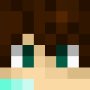 Image for Lipool Minecraft Player