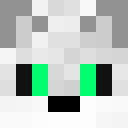 Image for Lisenok Minecraft Player