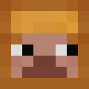 Image for LiteralToast Minecraft Player