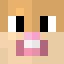 Image for LittleBirdyy Minecraft Player