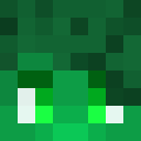 Image for Logoo Minecraft Player