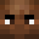 Image for Lufe Minecraft Player