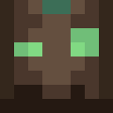 Image for Lumii Minecraft Player