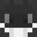 Image for LunarioLoco Minecraft Player