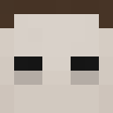 Image for Lvsting Minecraft Player